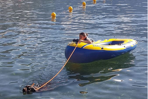 Scuba traina un gommoncino a riva